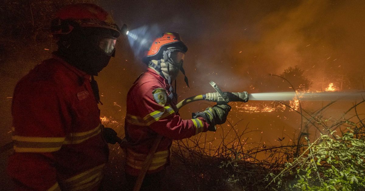 лісові пожежі в Португалії_6 / © Associated Press