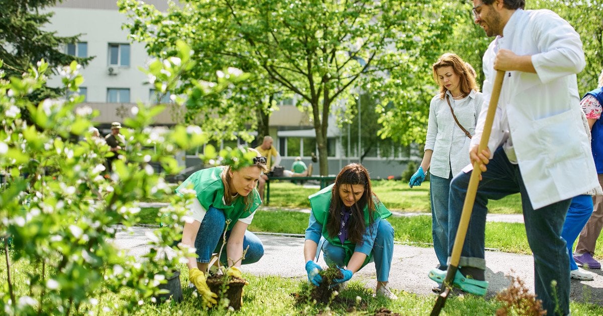 Зелена терапія: як висаджування дерев у лікарнях змінює обличчя української медицини