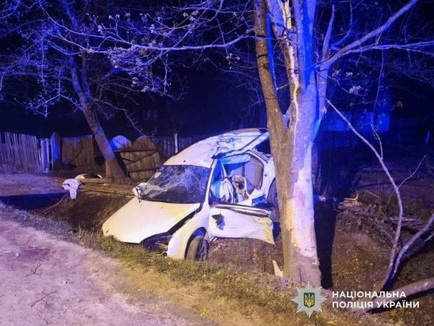 Водій влетів у дерево і вбив дитину — жахлива ДТП на Житомирщині