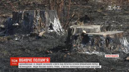 Щонайменше 12 людей загинуло у вогні від початку сезону прибирання перед Великоднем
