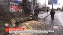 На 11-летнюю девочку в Виннице упало дерево, ребенок погиб