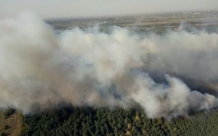 Сунула, немов грозові хмари: селяни на Харківщині розповіли про пережиту лісову пожежу