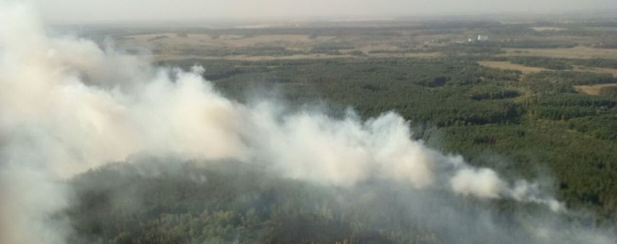 На Харьковщине масштабный пожар быстро "поглощает" лес, приближаясь к населенным пунктам