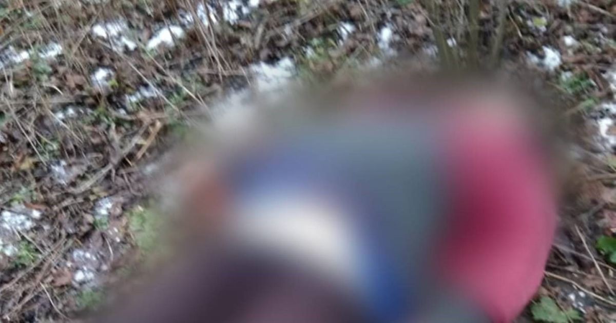 Наслідки російського обстрілу Покровського району Донецької області / © Донецька обласна прокуратура