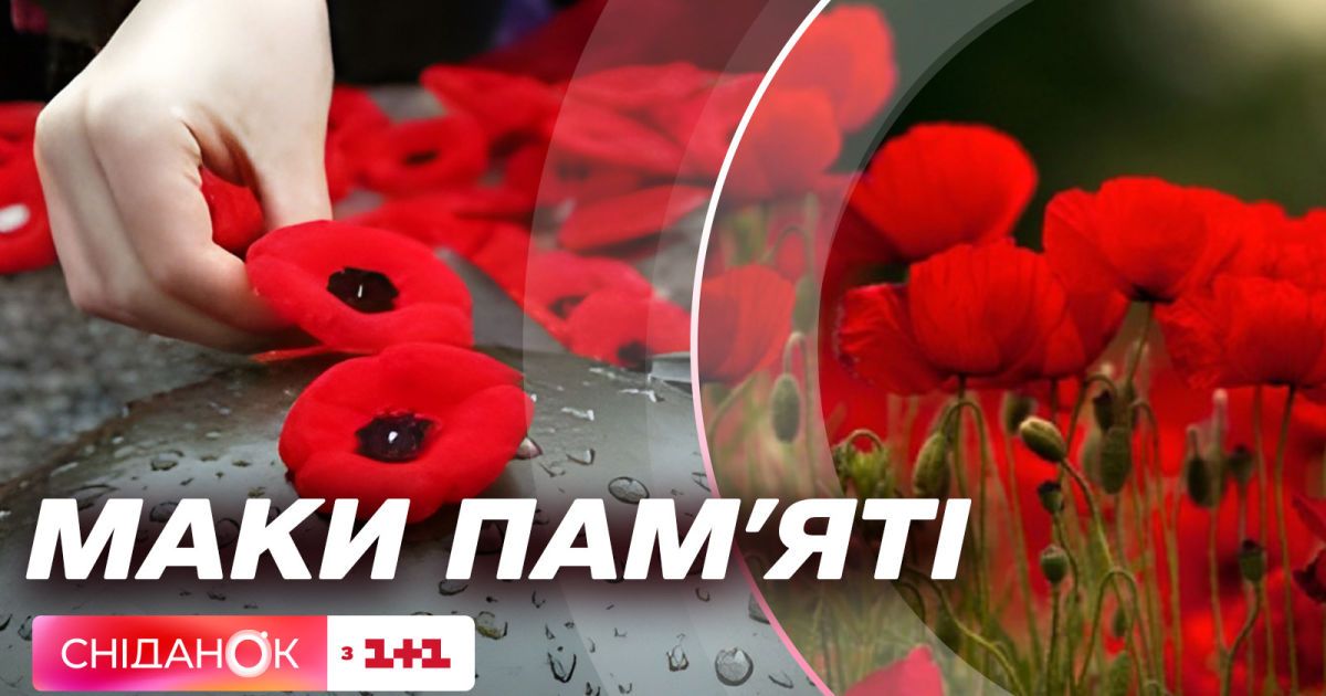Какво е калифорнийски мак и как може да ни помогне ️ Виктория Дичева ...