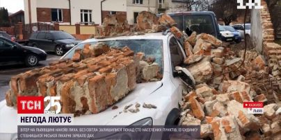 Негода у Львівській області: що встиг накоїти шквальний вітер