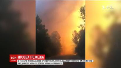 Из-за лесного пожара под Кременчугом спасатели эвакуируют местных жителей