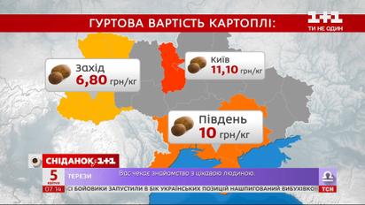 В Украине подешевел картофель – Экономические новости