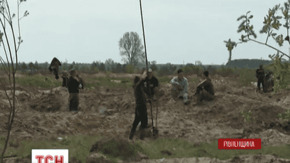 От незаконной добычи янтаря на Волыни и других областях государство несет большие убытки