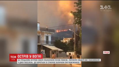 На греческом острове Эвбея вспыхнули лесные пожары