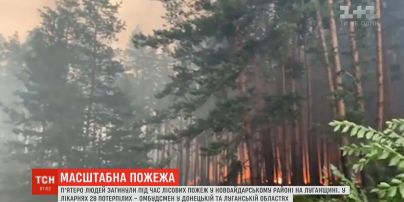 В результате пожаров в Луганской области погибли 5 человек, около 30 в больнице