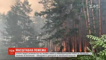 В результате пожаров в Луганской области погибли 5 человек, около 30 в больнице