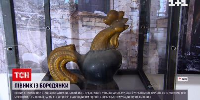 Півник із Бородянки, який встояв на кухонній поличці, став експонатом виставки