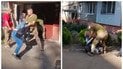 Сутичка між працівником ТЦК та жінкою у Львові