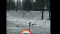 У Києві собака кинувся у крижану воду, щоб витягнути хлопця, який тонув: відео