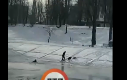 У Києві собака кинувся у крижану воду, щоб витягнути хлопця, який тонув: відео
