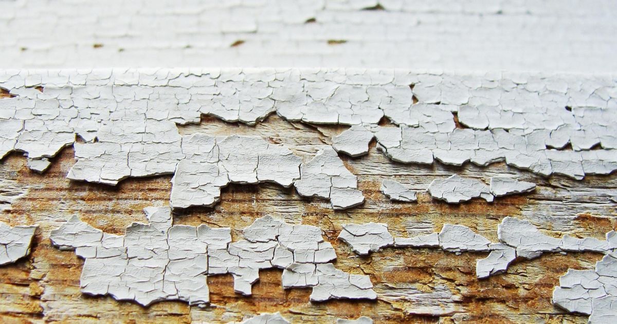 Чоловік розгадав таємницю 40-річних дверей біля будинку — знайшов реліквії минулого (фото)