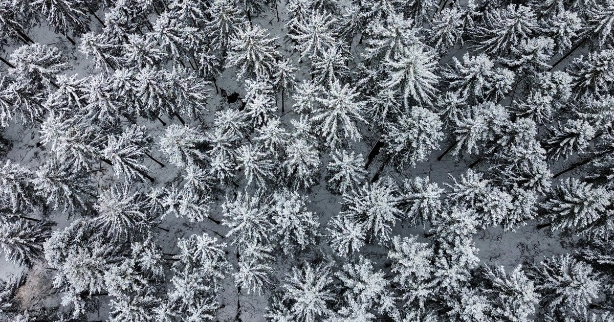 До України прийшлов арктичний холод