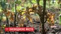 Прифронтовой Торецк страдает от недостатка воды через контроль боевиками фильтровальной станции