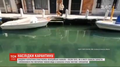 Завдяки карантину очистились канали Венеції