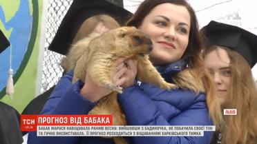 Весна на порозі: бабак Маруся самостійно прокинулася і не побачила своєї тіні