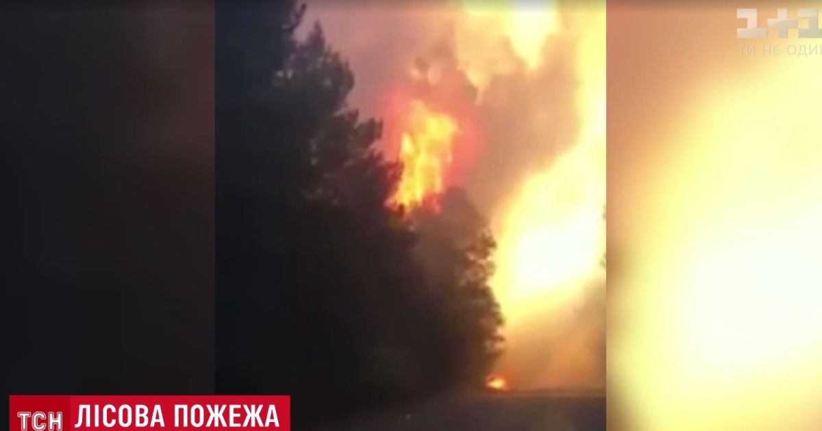 Полтавщина в огне: возле Кременчуга запылал лес