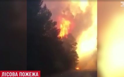 Полтавщина в огне: возле Кременчуга запылал лес