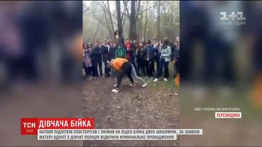 Двоє дівчат-підлітків влаштували бої навкулачки на очах у натовпу однолітків