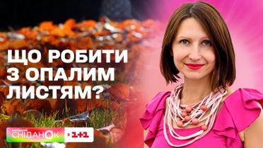 Як використати опале листя в саду та на городі: поради від садівниці Антоніни Лесик