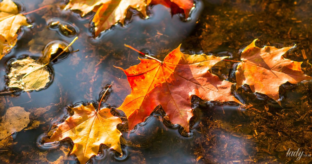 Гороскоп на 2 жовтня для всіх знаків зодіаку