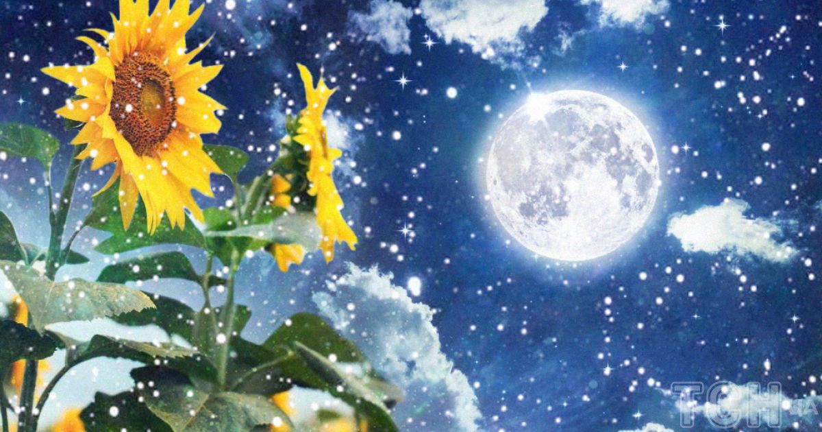 Предрассудки советуют не поддаваться эмоциям и держать баланс, поскольку затемнение может усиливать внутренние конфликты и вызвать стресс.