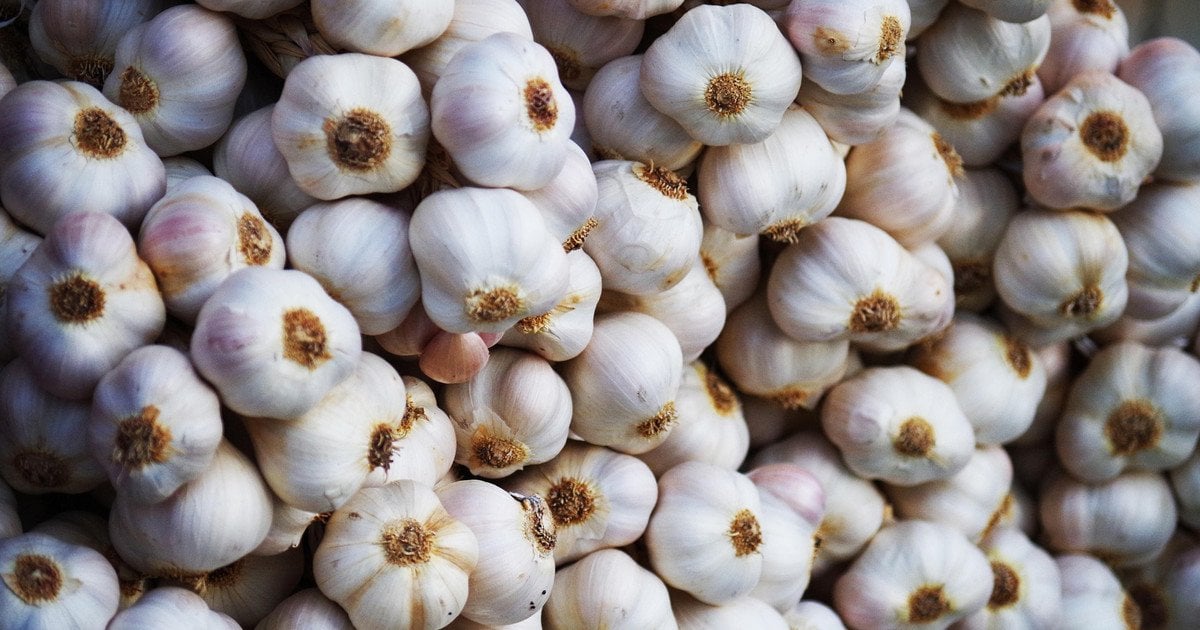 Як надовго зберегти часник свіжим