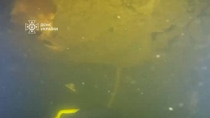 ДСНС України провела підводну спецоперацію при морозі