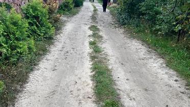 Вбив та розчленував тіло власного сина: на Київщині розкрито резонансне вбивство