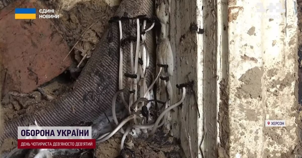 На городі прогнила картопля і всохли дерева, а в домі на стінах і вікнах - пліснява, подекуди ростуть гриби