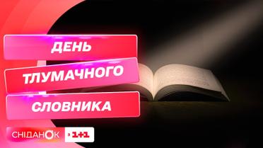 День толкового словаря: как часто в Украине издают толковые словари