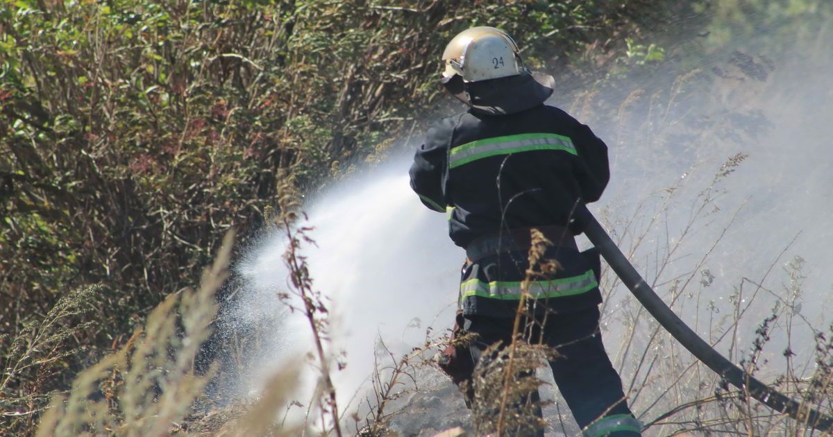 Масштабні пожежі: у Харківській області люди розбирають згарища і рахують збитки
