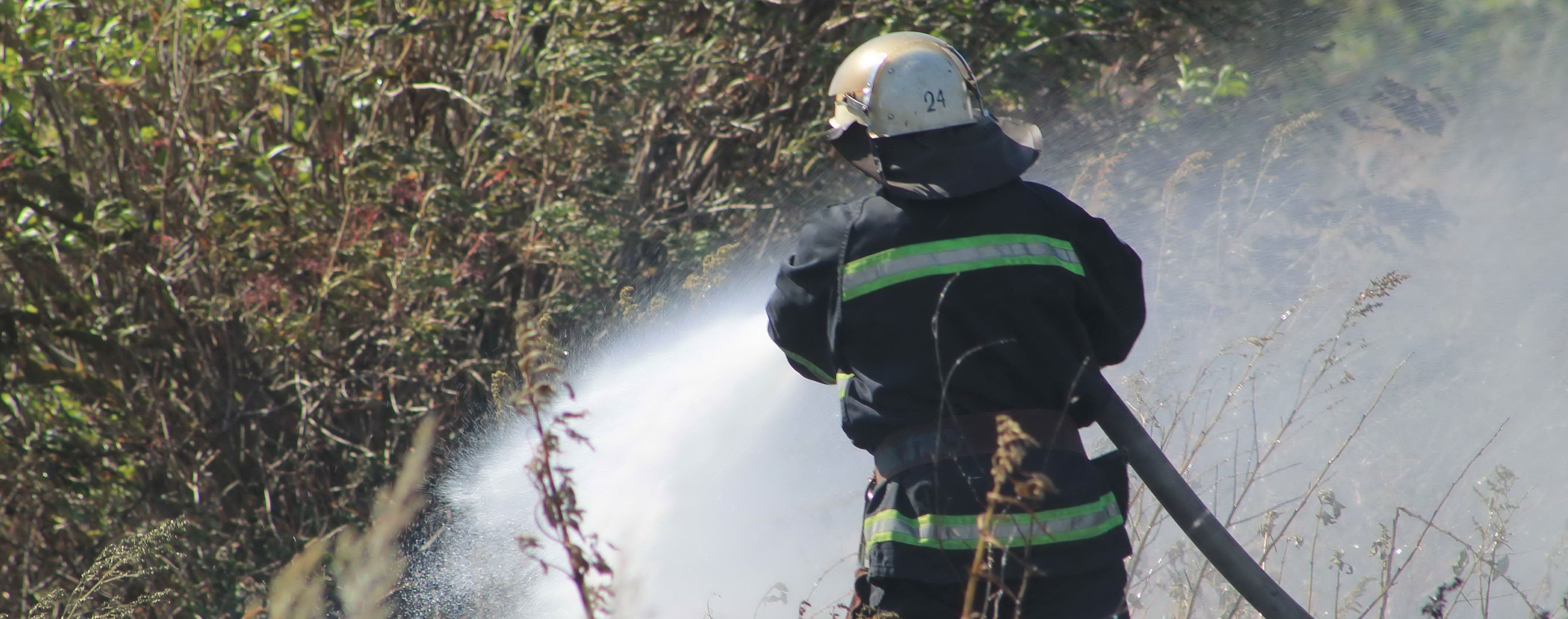 Масштабные пожары: в Харьковской области люди разбирают пожарища и считают убытки