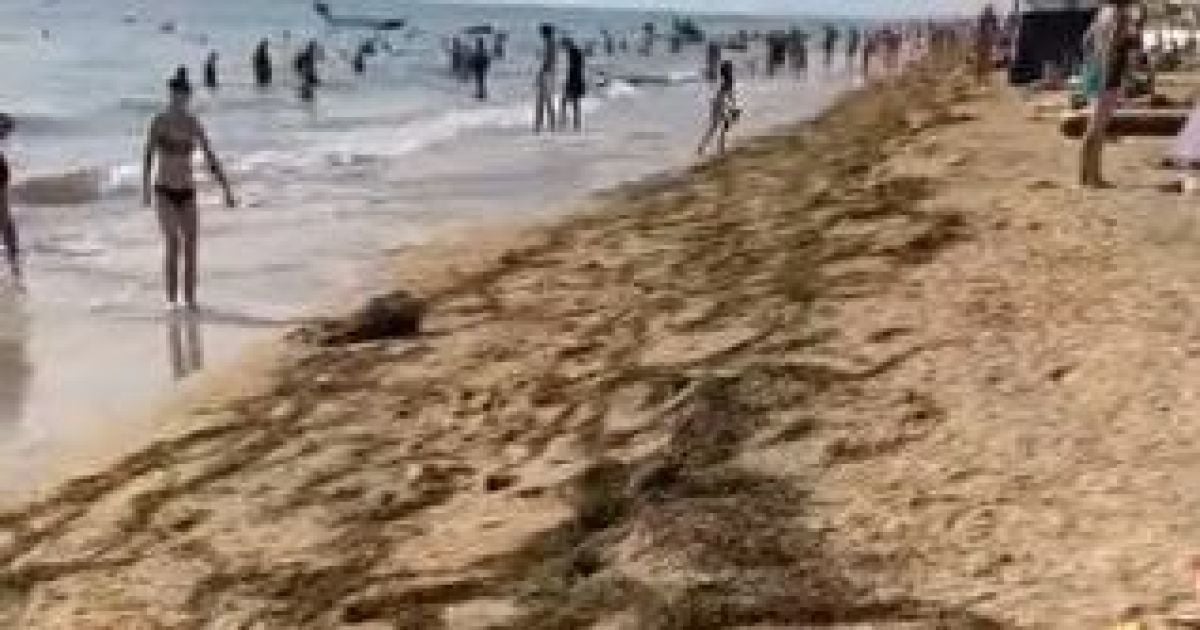 скріншот з відео / Інна К., Facebook