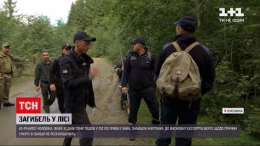 Новини України: на Буковині у лісі знайшли мертвим чоловіка, який 10 днів тому пішов по гриби