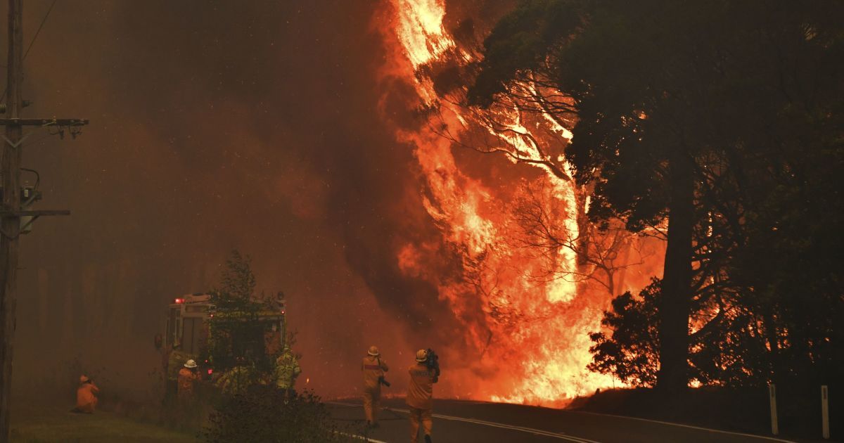 В Новый год от лесных пожаров в Австралии погибли семь человек