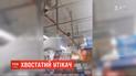 Утеча Сашка: 3-річна мавпа чкурнула із мінізоопарку до магазину