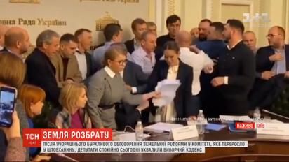 Кива махав руками, а Тимошенко розкидала папери: як земельне питання розсварило депутатів
