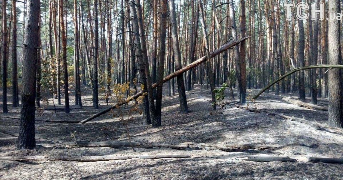 масштабна пожежа на харківщині 2_8 / © Кореспондент ТСН Мар'я Уманська