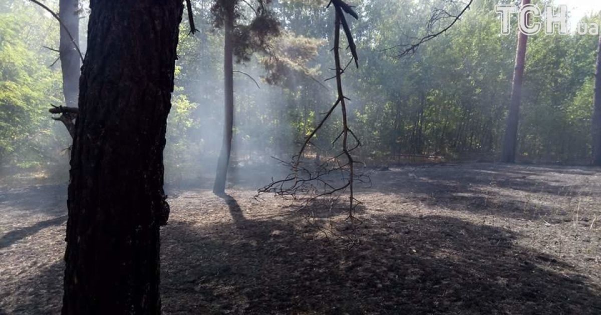 масштабна пожежа на харківщині 2_9 / © Кореспондент ТСН Мар'я Уманська