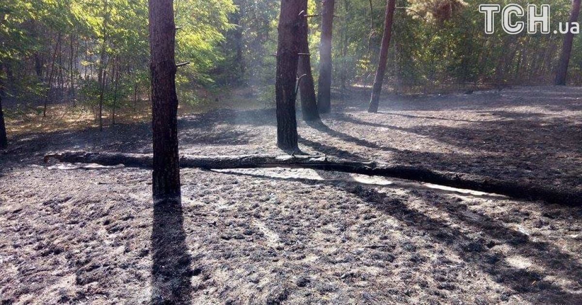 масштабна пожежа на харківщині 2_5 / © Кореспондент ТСН Мар'я Уманська