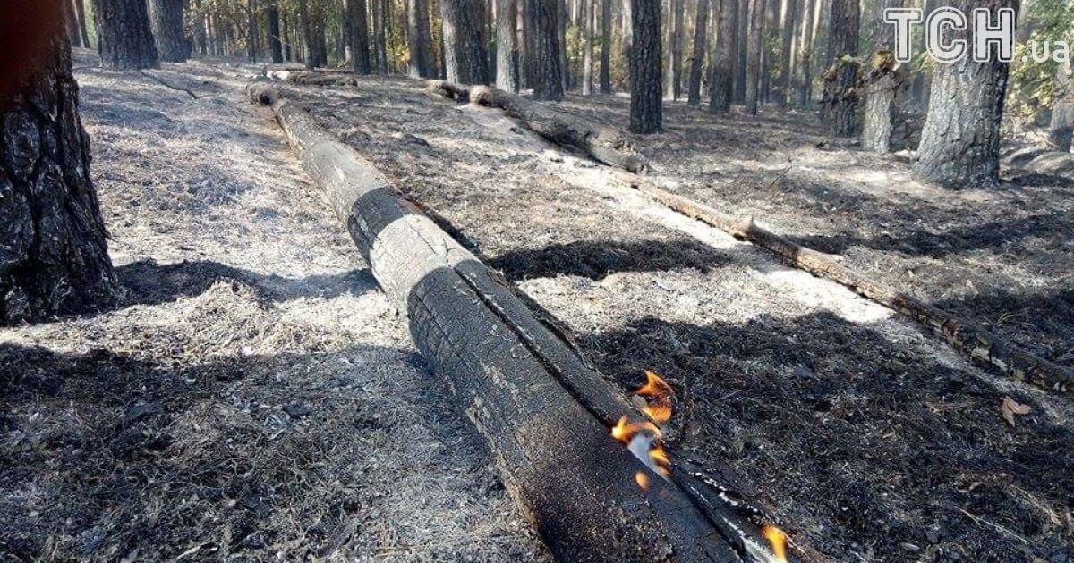 масштабна пожежа на харківщині 2_7 / © Кореспондент ТСН Мар'я Уманська