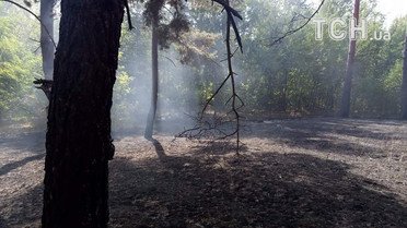 масштабна пожежа на харківщині 2_9 / © Кореспондент ТСН Мар'я Уманська