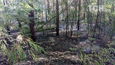масштабна пожежа на харківщині 2_1 / © Кореспондент ТСН Мар'я Уманська