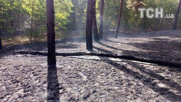 масштабна пожежа на харківщині 2_5 / © Кореспондент ТСН Мар'я Уманська